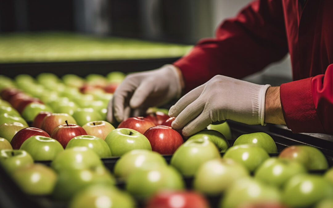 ERP alimentación